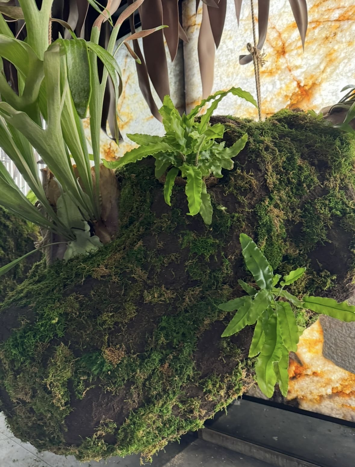 Реализованный объект MyMicrogreen, фотография 1