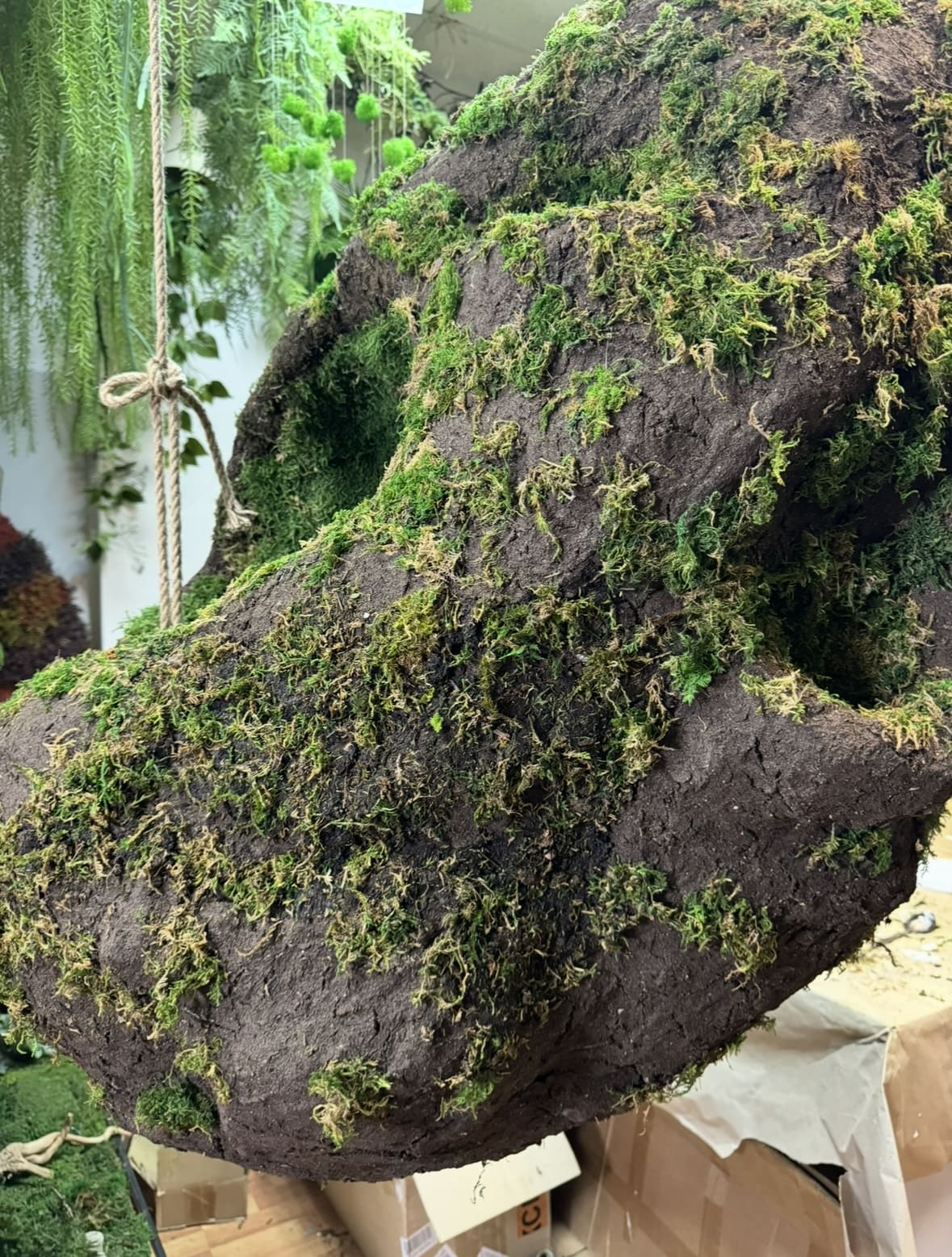 Реализованный объект MyMicrogreen, фотография 4
