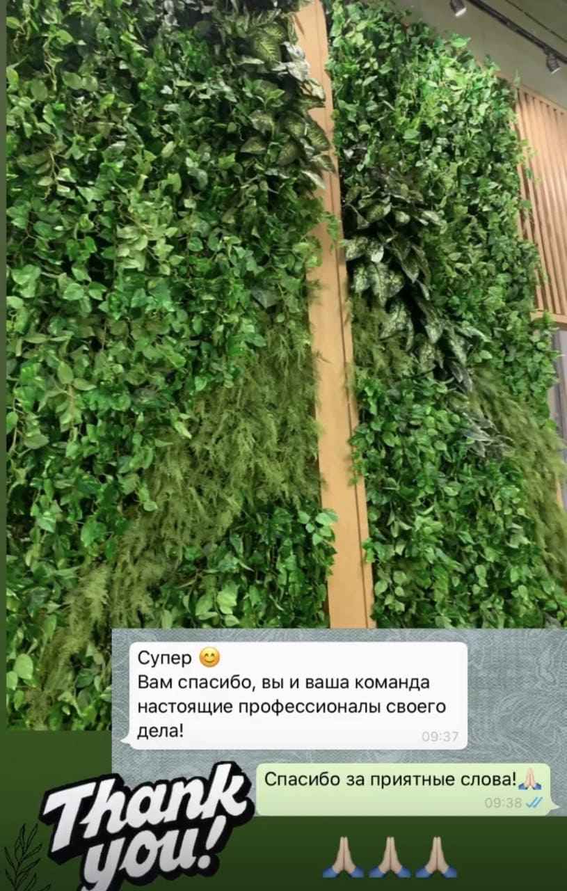 Отзыв клиента MyMicrogreen 6