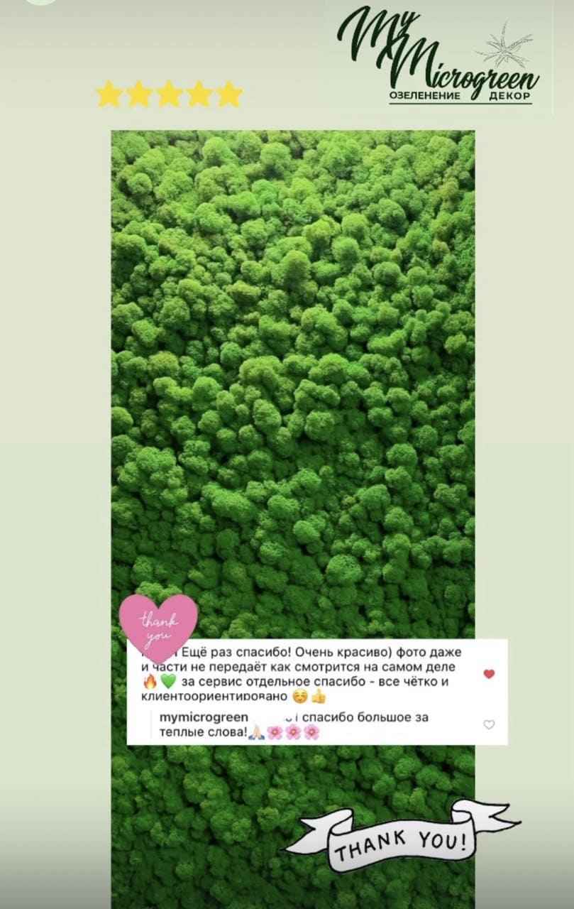 Отзыв клиента MyMicrogreen 12