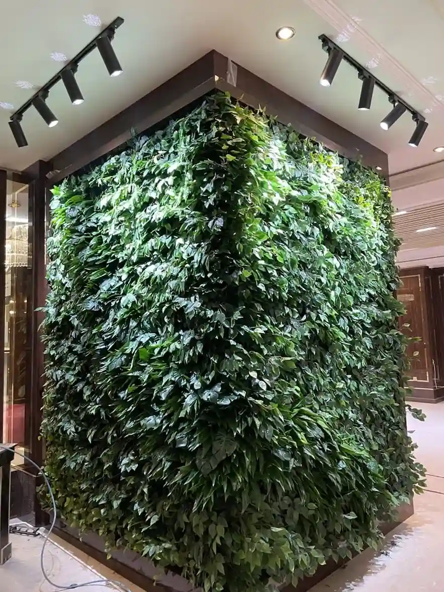 Фитостена в ресторане CZN Burak