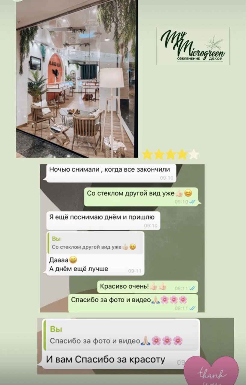 Отзыв клиента MyMicrogreen 14