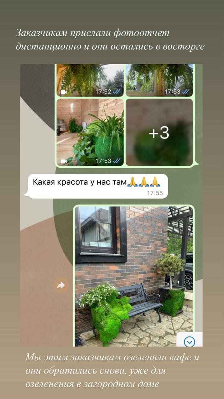 Отзыв клиента MyMicrogreen 3